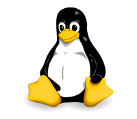 Logo Formation Linux