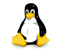 Logo Formation Linux