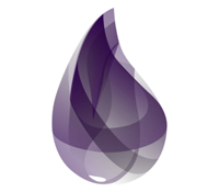 Formation Elixir