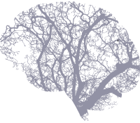 Formation Deep Learning interprétation & traitement d’images