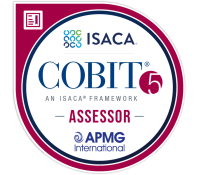 formation cobit assessor