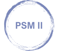 Formation PSM 2