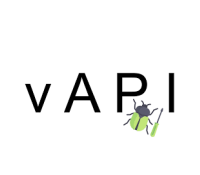Logo formation vAPI sécurité