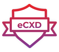 Formation Certification eLearnSecurity eCXD©
