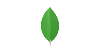 formation mongodb cpf