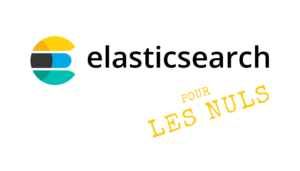 elastic search guide
