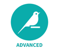 Formation Dataiku Avancé