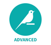 Dataiku Avancé Juillet