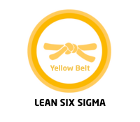 Logo Lean Six Sigma Yellow Belt