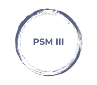 Formation SCRUM Certification PSM 3
